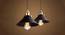 Miri Black Metal Pendant Light (Black) by Urban Ladder - Design 1 Side View - 534440