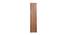 Tacy Engineered Wood 2 door Wardrobe in Matte Finish (Matte Finish) by Urban Ladder - Design 1 Side View - 537190