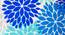 Xarles Blue Floral Cotton Double Size Dohar by Urban Ladder - Design 1 Close View - 538848