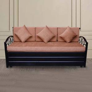 Sofa Cum Bed In Mumbai Design Viki 3 Seater Pull Out Sofa cum Bed In Colour