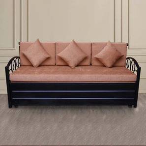 Sofa Cum Bed In Kankinara Design Tobias 3 Seater Pull Out Sofa cum Bed In Colour