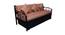Viki 3 Seater Pull-out Sofa Cum Bed with Box Storage in Matt Black Colour (Powder Coating Finish) by Urban Ladder - Front View Design 1 - 540975