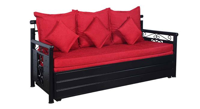 Ridin 3 Seater Pull-out Sofa Cum Bed with Box Storage in Matt Black Colour (Powder Coating Finish) by Urban Ladder - Cross View Design 1 - 541039