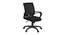 Xcelo Mesh Swivel Ergonomic Chair In Black Colour (Black) by Urban Ladder - Cross View Design 1 - 541819