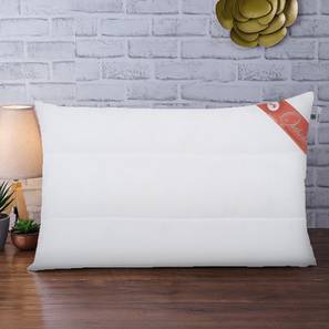 Pillows Design Ortholite White Cotton Rectangular 27x18 inches Pillow (White)