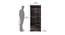 Cleopatra Engineered Wood 2 Door Wardrobe - in Wenge Finish (Melamine Finish) by Urban Ladder - Design 1 Dimension - 544126