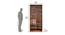 Ankara Veneer 2 Door Wardrobe in Walnut Finish (Melamine Finish) by Urban Ladder - Design 1 Dimension - 545047