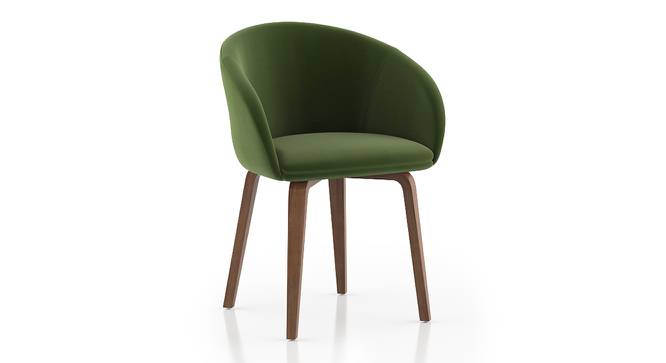 Meryl Lounge Chair (Olive, Dark Leg Shade) by Urban Ladder - Cross View Design 1 - 550859