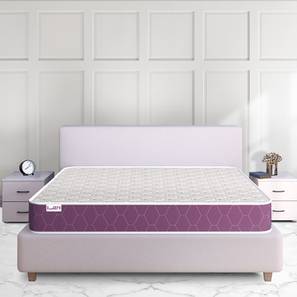 Sleepx Mattresses Design Ortho Plus King Size Memory Foam Mattress (King Mattress Type, 5 in Mattress Thickness (in Inches), 84 x 72 in Mattress Size)