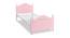 Lucca Single Bed (Pink, Glossy Finish) by Urban Ladder - Front View Design 1 - 554026