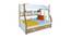 Kodiak Bunk with Trundle Bed (Brown, Matte Finish) by Urban Ladder - Cross View Design 1 - 554098