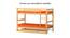 Howland Premium Bunk Bed (Brown, Matte Finish) by Urban Ladder - Front View Design 1 - 554122