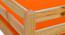 Howland Premium Bunk Bed (Brown, Matte Finish) by Urban Ladder - Design 2 Side View - 554152