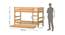 Howland Premium Bunk Bed (Brown, Matte Finish) by Urban Ladder - Design 1 Dimension - 554175
