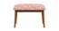 Jodhpur Bench Small - Earthy Florals Peach (Polished Finish) by Urban Ladder - Cross View Design 1 - 554520