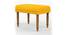 Nawaab Bench Small - Sahara Mustard (Polished Finish) by Urban Ladder - Front View Design 1 - 554524