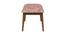 Jodhpur Bench - Earthy Florals Peach (Polished Finish) by Urban Ladder - Design 1 Side View - 554645