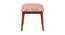 Jodhpur Bench Small - Earthy Florals Peach (Polished Finish) by Urban Ladder - Design 1 Side View - 554648