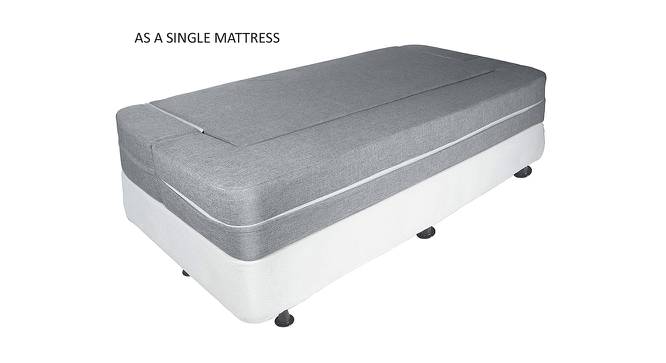 Calum 3 Seater Fold Out Sofa cum Bed in Grey Colour (Grey) by Urban Ladder - Front View Design 1 - 555308