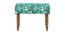 Nawaab Bench Small - Tropical Ikkat Green (Polished Finish) by Urban Ladder - Cross View Design 1 - 555388