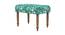 Nawaab Bench Small - Tropical Ikkat Green (Polished Finish) by Urban Ladder - Front View Design 1 - 555403