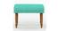 Nawaab Bench Small - Maldivian Teal (Polished Finish) by Urban Ladder - Cross View Design 1 - 555588
