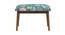 Jodhpur Bench Small - Spring Bloom Teal (Polished Finish) by Urban Ladder - Cross View Design 1 - 555594