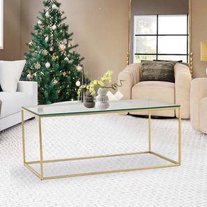 Glass Center Table Design Windsor Rectangular Metal Coffee Table in Powder Coating Finish