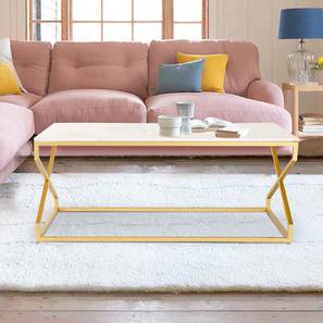 Deals Daily Design Melbourne Rectangular Metal Coffee Table in Powder Coating Finish