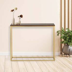 Console Table Design Windsor Metal Console Table in Powder Coating Finish