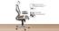 Spider Foam Swivel Office Chair with Headrest in White Colour (Beige) by Urban Ladder - Design 1 Side View - 556239