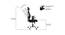 Matrix Foam Swivel Office Chair with Headrest in Black Colour (Black) by Urban Ladder - Rear View Design 1 - 556247