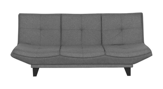 Ken Sofa cum Bed with Mattress in Grey Colour (Grey) by Urban Ladder - Front View Design 1 - 556303