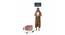 Shiloh OTTOMAN (Pink) by Urban Ladder - Design 1 Dimension - 556774