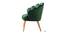 Cameron Accent Chairs (Green, Powder Coating Finish) by Urban Ladder - Front View Design 1 - 557420
