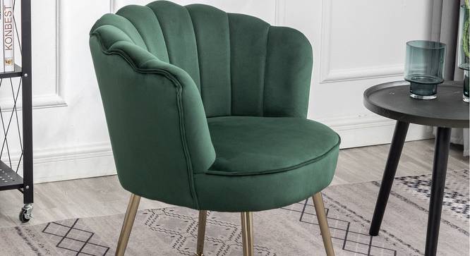 Catriona Accent Chairs (Green, Powder Coating Finish) by Urban Ladder - Front View Design 1 - 557423