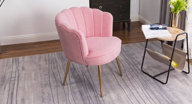 Chisholm Accent Chairs (Pink, Powder Coating Finish) by Urban Ladder - Front View Design 1 - 557425