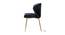 Craig Accent Chairs (Black, Powder Coating Finish) by Urban Ladder - Front View Design 1 - 557429