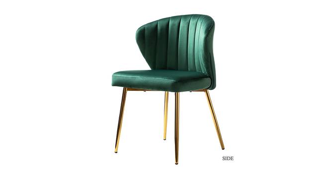 Cullen Accent Chairs (Green, Powder Coating Finish) by Urban Ladder - Front View Design 1 - 557430