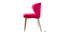Dennison Accent Chairs (Pink, Powder Coating Finish) by Urban Ladder - Front View Design 1 - 557432