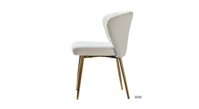 Dileas Accent Chairs (White, Powder Coating Finish) by Urban Ladder - Front View Design 1 - 557433