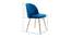 Calhoun Accent Chairs (Blue, Powder Coating Finish) by Urban Ladder - Design 1 Dimension - 557477