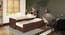 Ateneo Storage Headboard Single Bed with Trundle and Storage (Solid Wood) (Single Bed Size, Dark Walnut Finish) by Urban Ladder - - 