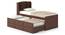 Ateneo Storage Headboard Single Bed with Trundle and Storage (Solid Wood) (Single Bed Size, Dark Walnut Finish) by Urban Ladder - - 