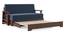 Oshiwara Compact Sofa Cum Bed (Dark Walnut Finish, Lapis Blue) by Urban Ladder - Design 5 - 