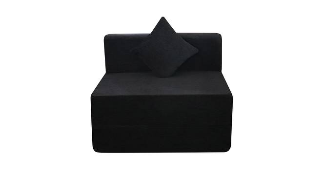 Quinlynn Sofa Cum Bed (Black) by Urban Ladder - Front View Design 1 - 558012