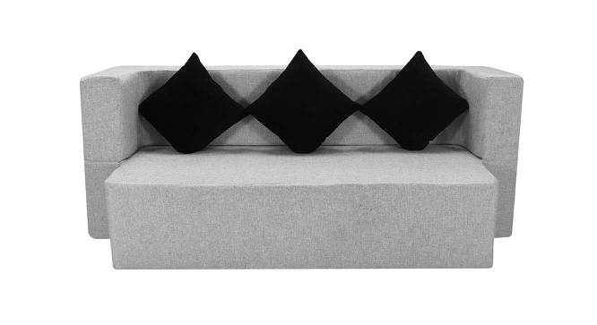 Delaney 3 Seater Sofa cum Bed (Grey) by Urban Ladder - Front View Design 1 - 558189