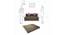 Poppy Sofa Cum Bed (Brown) by Urban Ladder - Design 1 Dimension - 558206