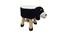 Daniel Wooden Animal Stool for Kids (Multicolor) by Urban Ladder - Design 1 Side View - 558410