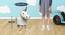 Ben Wooden Animal Stool for Kids (White) by Urban Ladder - Design 1 Dimension - 558532